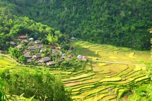 Trekking en Reserva Natural Pu Luong 3 Días