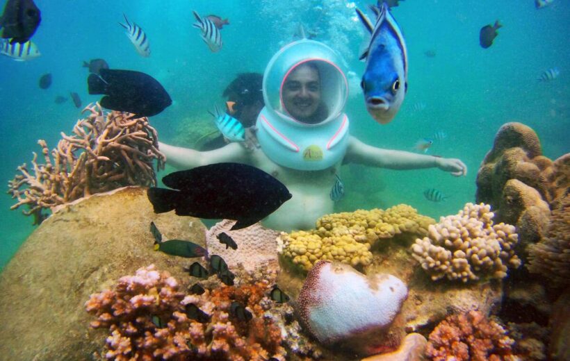 Hanoi – Halong – Hoi An (Cu Lao Cham Sea Trek) Tour 8 Días