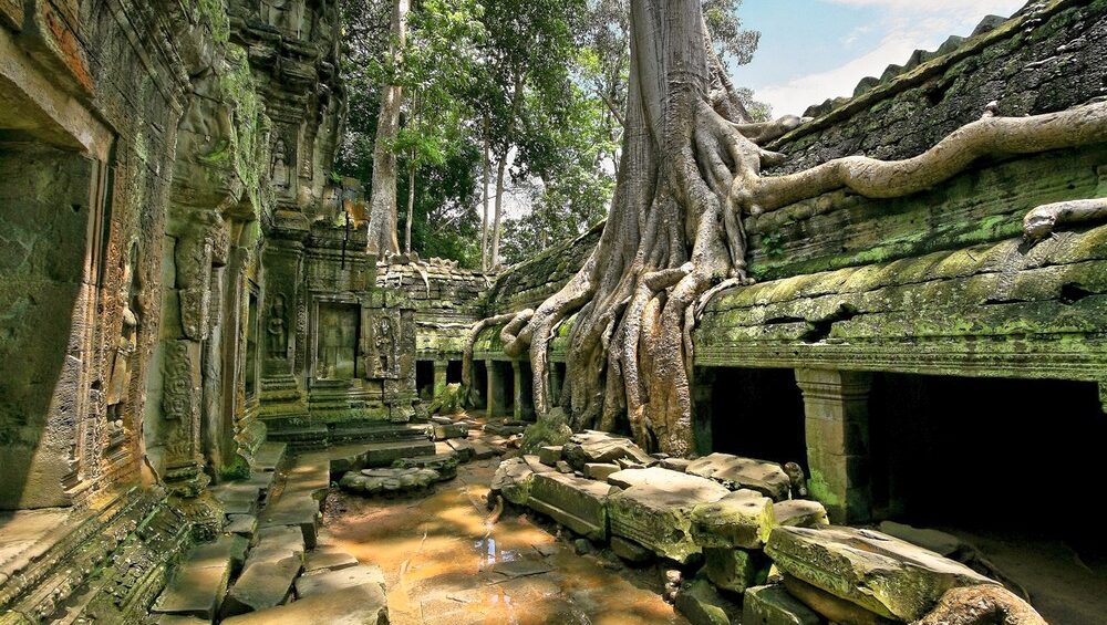 Ta Prohm Siem Reap, Cambodia