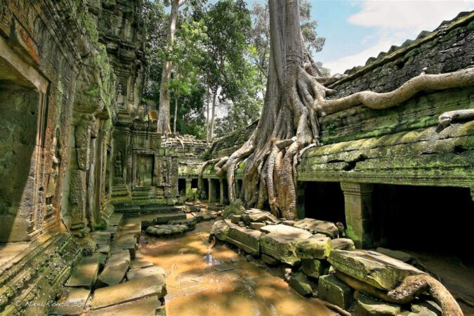 Ta Prohm Siem Reap, Cambodia