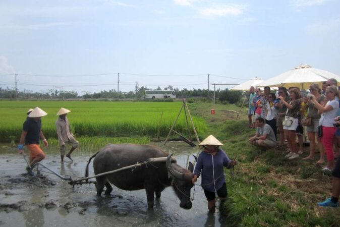 Tra-Que-village-Hoi-An