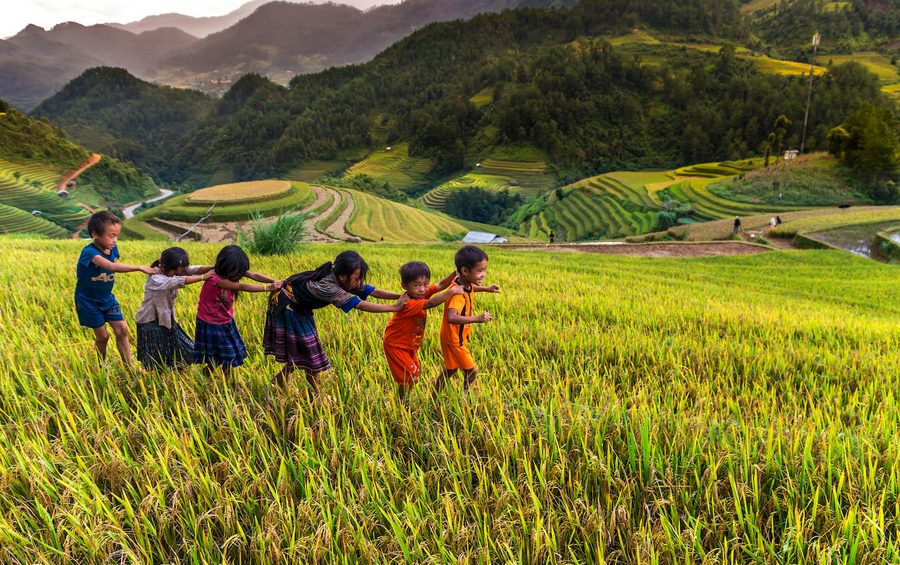 What to travel around Vietnam