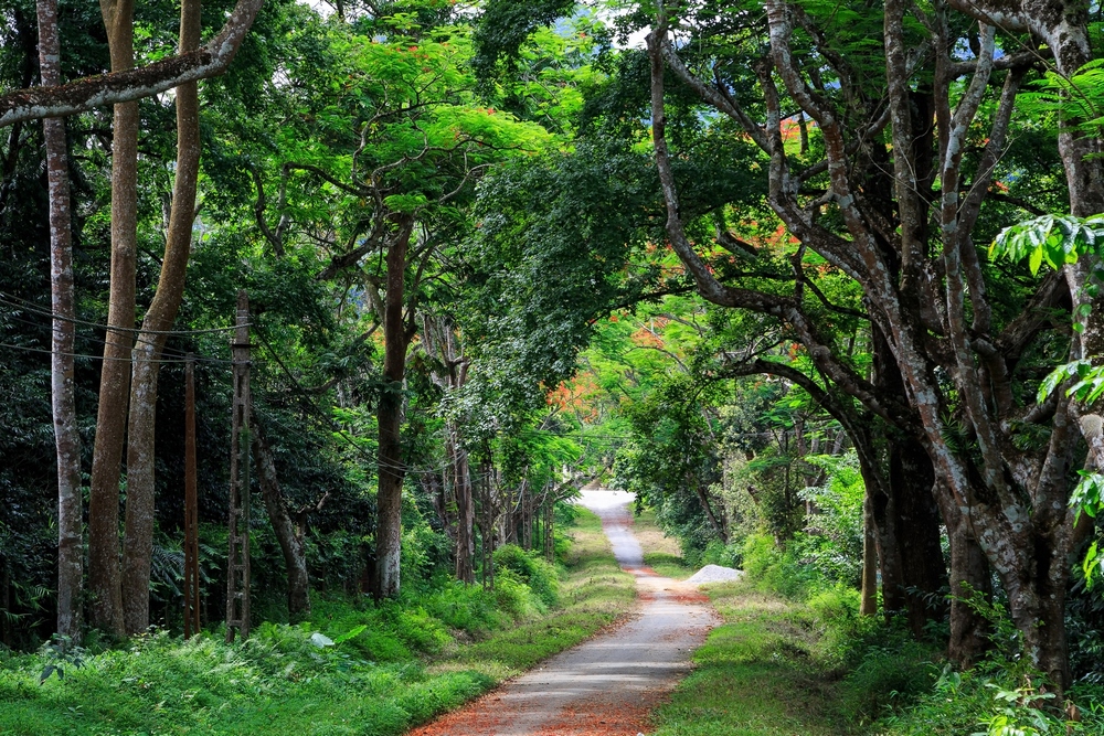 Cuc Phuong National Park