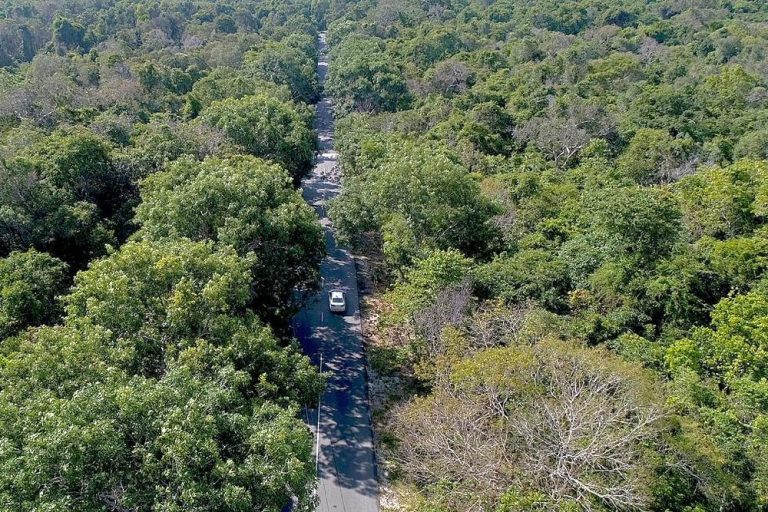 Phuoc Buu natural reserve