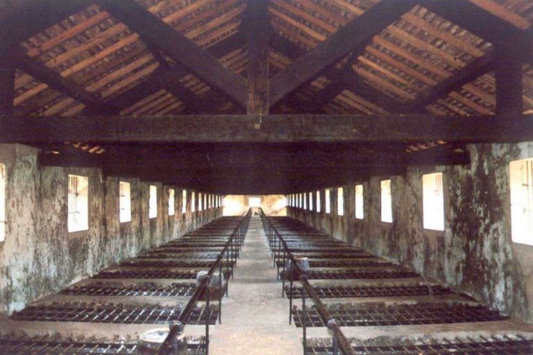 Tiger Cages in Con Dao Island
