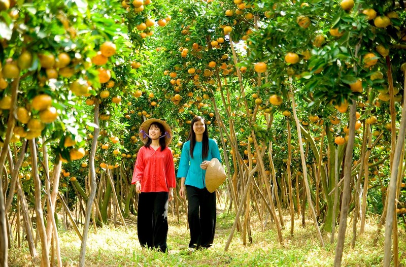 Fruit-in-Mekong-Delta