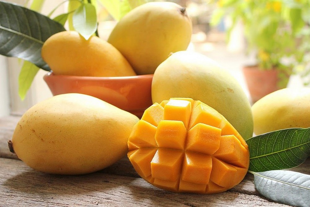 Mangos Vietnam