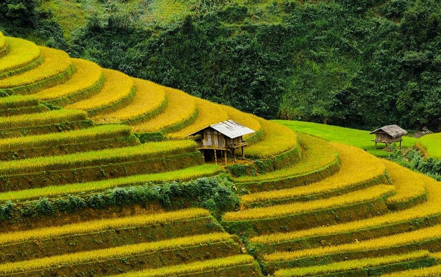 Vietnam-in-autumn