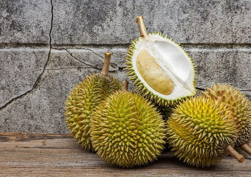 Durian Vietnam