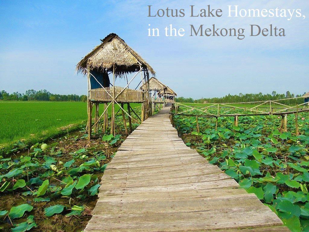 Homestays-in-Mekong-Delta