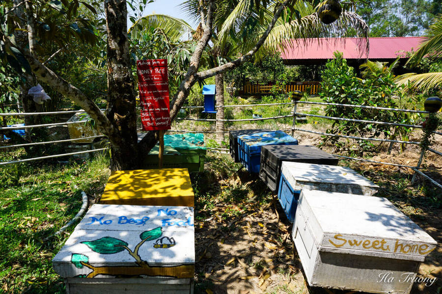 Phu Quoc Bee Farm