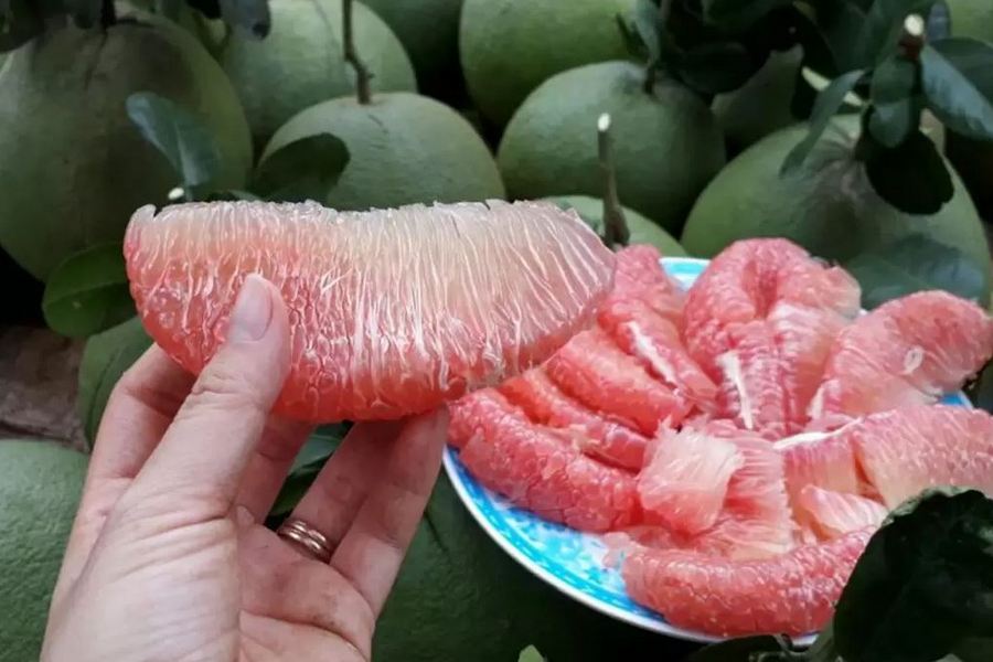 About 10 Must Try Tropical Fruits Of Vietnam Eviva Tour Blog