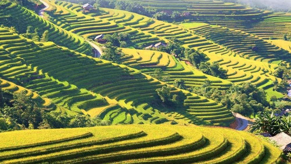 trekking adventure to Hoang Su Phi