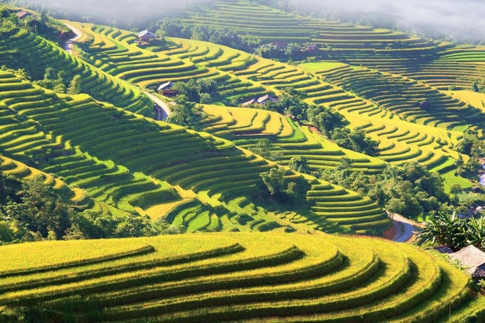 trekking adventure to Hoang Su Phi