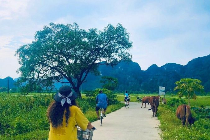 Ninh Bình - Cycling in Ninh Binh countryside