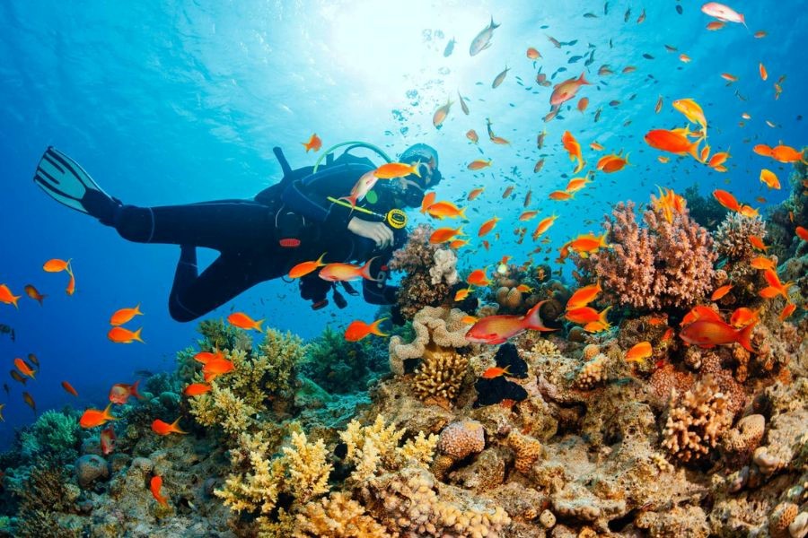 Diving under crystal clear waters