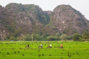 Explore Ninh Binh’s Secret Landscape By Ebike
