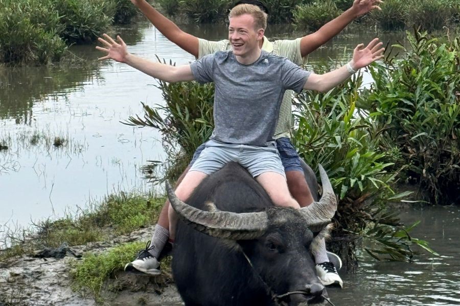 Riding water buffalo in the field.